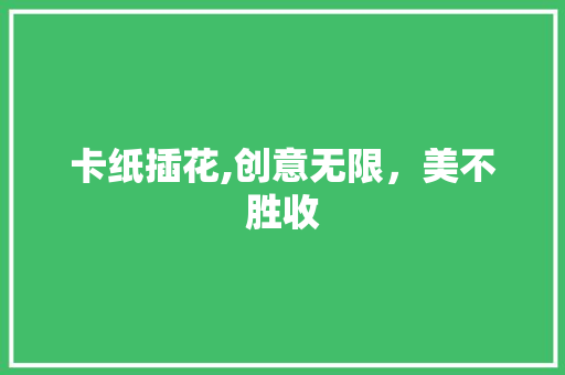 卡纸插花,创意无限，美不胜收