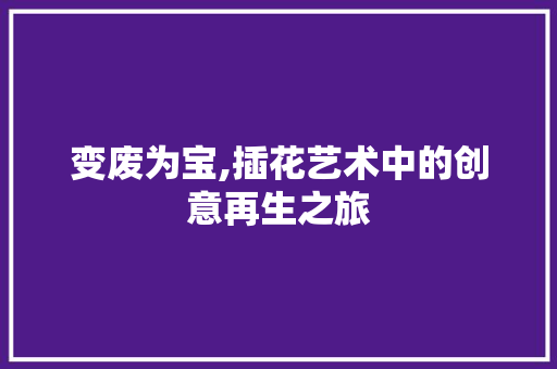 变废为宝,插花艺术中的创意再生之旅