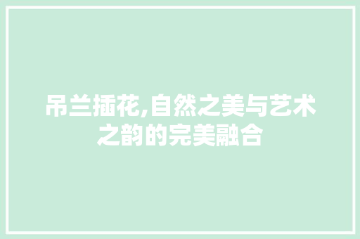 吊兰插花,自然之美与艺术之韵的完美融合