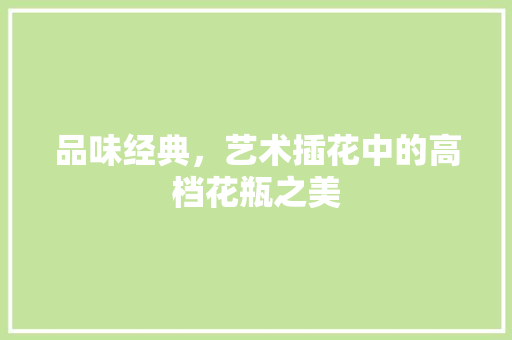 品味经典，艺术插花中的高档花瓶之美
