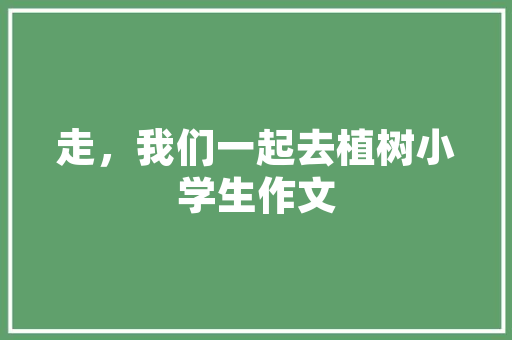唯美艺术插花,绽放于时光的璀璨之花