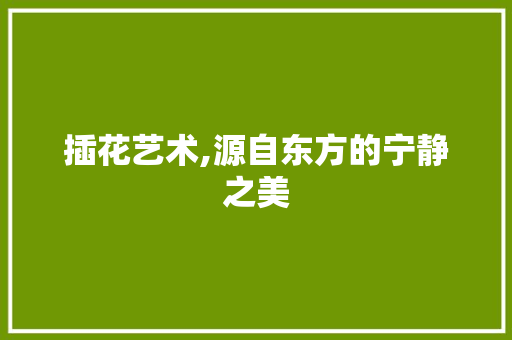 插花艺术,源自东方的宁静之美
