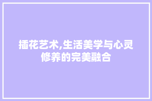 插花艺术,生活美学与心灵修养的完美融合