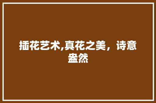插花艺术,真花之美，诗意盎然