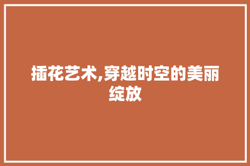 插花艺术,穿越时空的美丽绽放