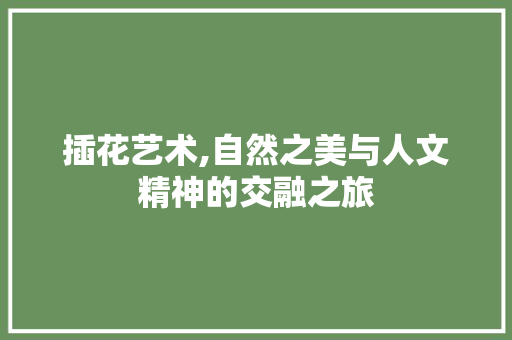 插花艺术,自然之美与人文精神的交融之旅