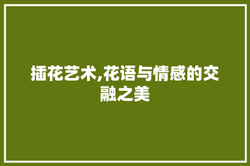 插花艺术,花语与情感的交融之美