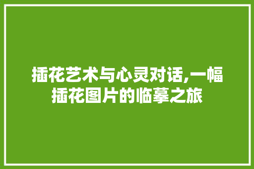 插花艺术与心灵对话,一幅插花图片的临摹之旅