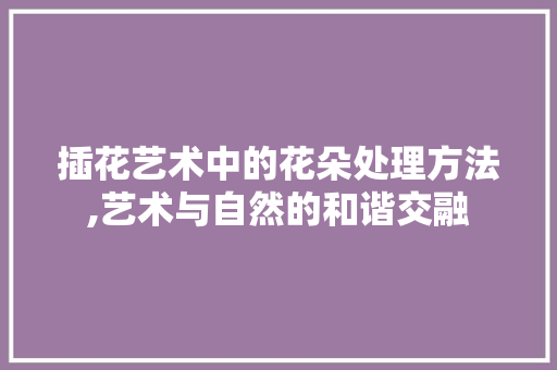 插花艺术中的花朵处理方法,艺术与自然的和谐交融