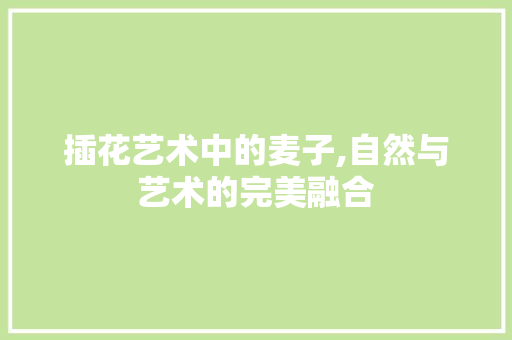 插花艺术中的麦子,自然与艺术的完美融合
