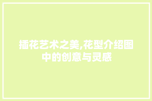 插花艺术之美,花型介绍图中的创意与灵感