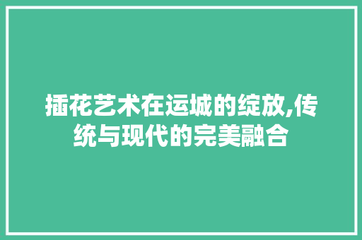 插花艺术在运城的绽放,传统与现代的完美融合 插花艺术在运城的绽放,传统与现代的完美融合