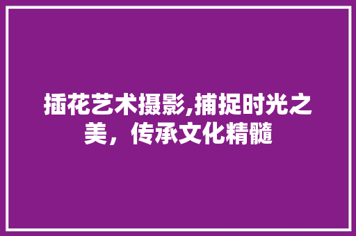 插花艺术摄影,捕捉时光之美，传承文化精髓