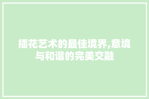 插花艺术的最佳境界,意境与和谐的完美交融 花朵知识