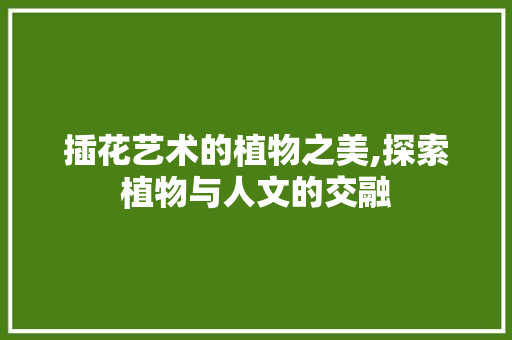 插花艺术的植物之美,探索植物与人文的交融
