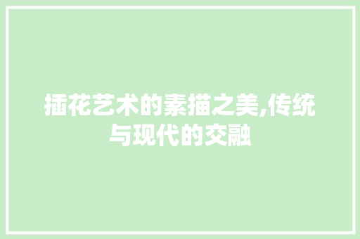 插花艺术的素描之美,传统与现代的交融