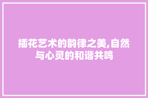 插花艺术的韵律之美,自然与心灵的和谐共鸣