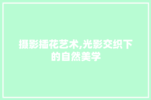 摄影插花艺术,光影交织下的自然美学