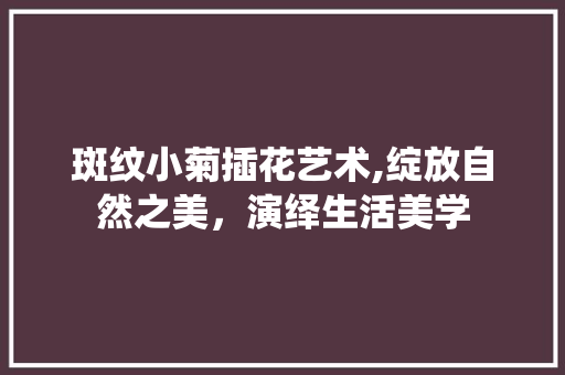 斑纹小菊插花艺术,绽放自然之美，演绎生活美学