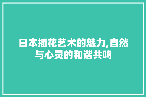 日本插花艺术的魅力,自然与心灵的和谐共鸣