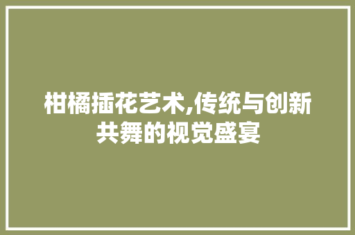 柑橘插花艺术,传统与创新共舞的视觉盛宴