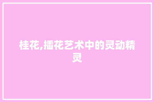 桂花,插花艺术中的灵动精灵