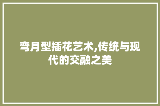 弯月型插花艺术,传统与现代的交融之美