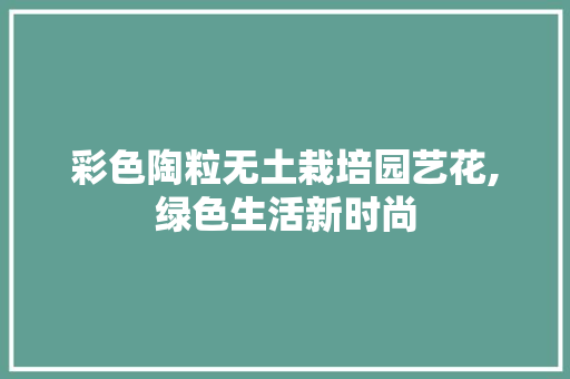 彩色陶粒无土栽培园艺花,绿色生活新时尚