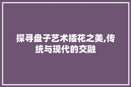 探寻盘子艺术插花之美,传统与现代的交融