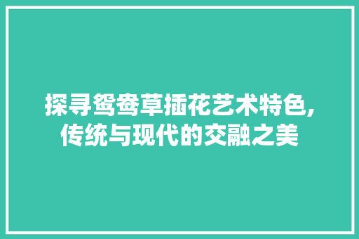 探寻鸳鸯草插花艺术特色,传统与现代的交融之美