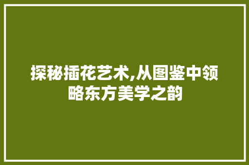 探秘插花艺术,从图鉴中领略东方美学之韵
