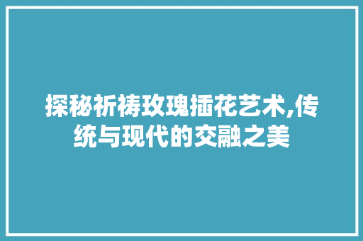 探秘祈祷玫瑰插花艺术,传统与现代的交融之美