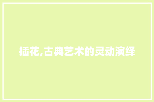 插花,古典艺术的灵动演绎