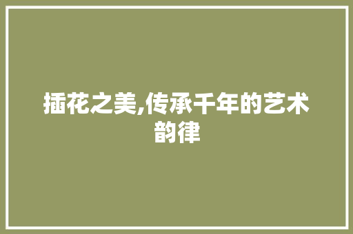 插花之美,传承千年的艺术韵律