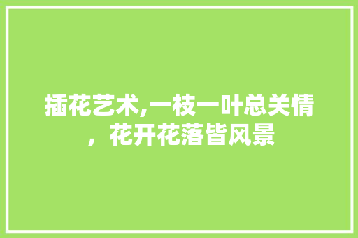 插花艺术,一枝一叶总关情，花开花落皆风景