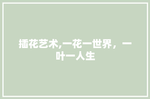 插花艺术,一花一世界，一叶一人生