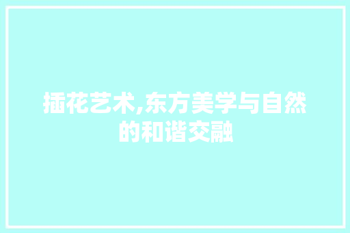 插花艺术,东方美学与自然的和谐交融