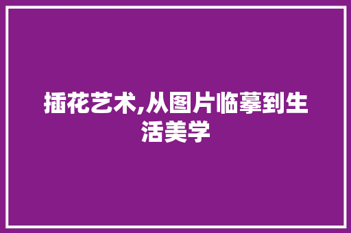 插花艺术,从图片临摹到生活美学