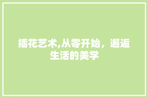 插花艺术,从零开始，邂逅生活的美学
