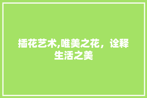 插花艺术,唯美之花，诠释生活之美