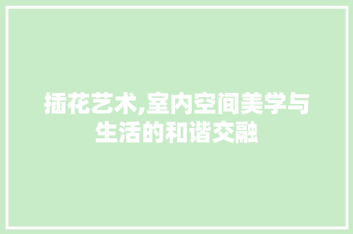 插花艺术,室内空间美学与生活的和谐交融