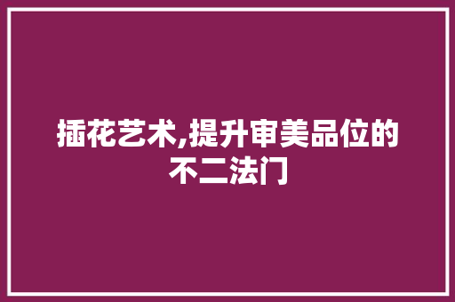 插花艺术,提升审美品位的不二法门