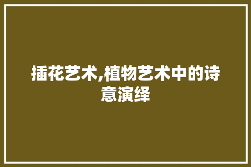 插花艺术,植物艺术中的诗意演绎