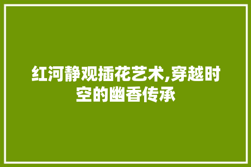 红河静观插花艺术,穿越时空的幽香传承