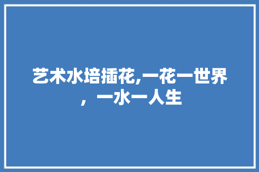 艺术水培插花,一花一世界，一水一人生