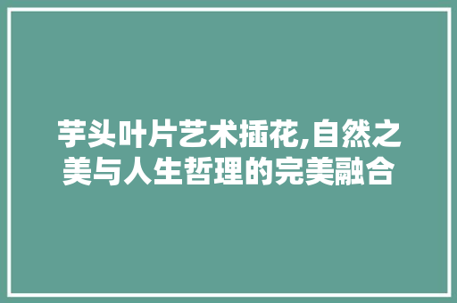 芋头叶片艺术插花,自然之美与人生哲理的完美融合