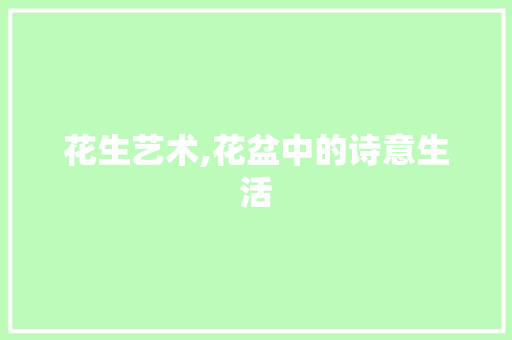 花生艺术,花盆中的诗意生活