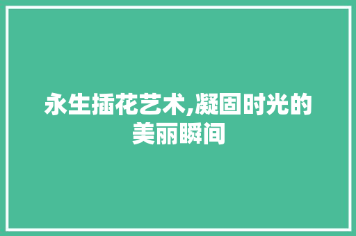 永生插花艺术,凝固时光的美丽瞬间 番茄种植技巧