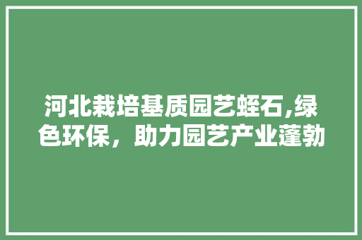 河北栽培基质园艺蛭石,绿色环保，助力园艺产业蓬勃发展