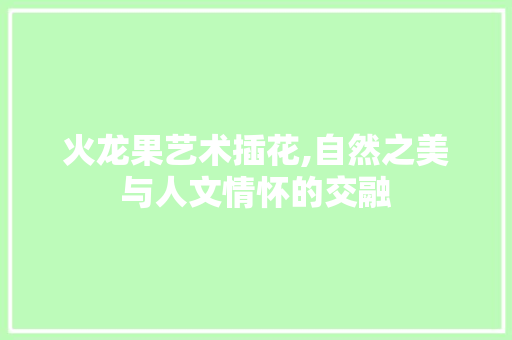 火龙果艺术插花,自然之美与人文情怀的交融